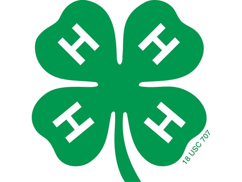 Logo for 2024 Cattaraugus County Fair (4-H)