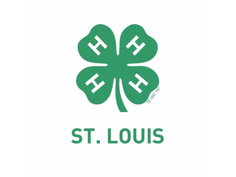 Logo for 2025 St. Louis County Fair